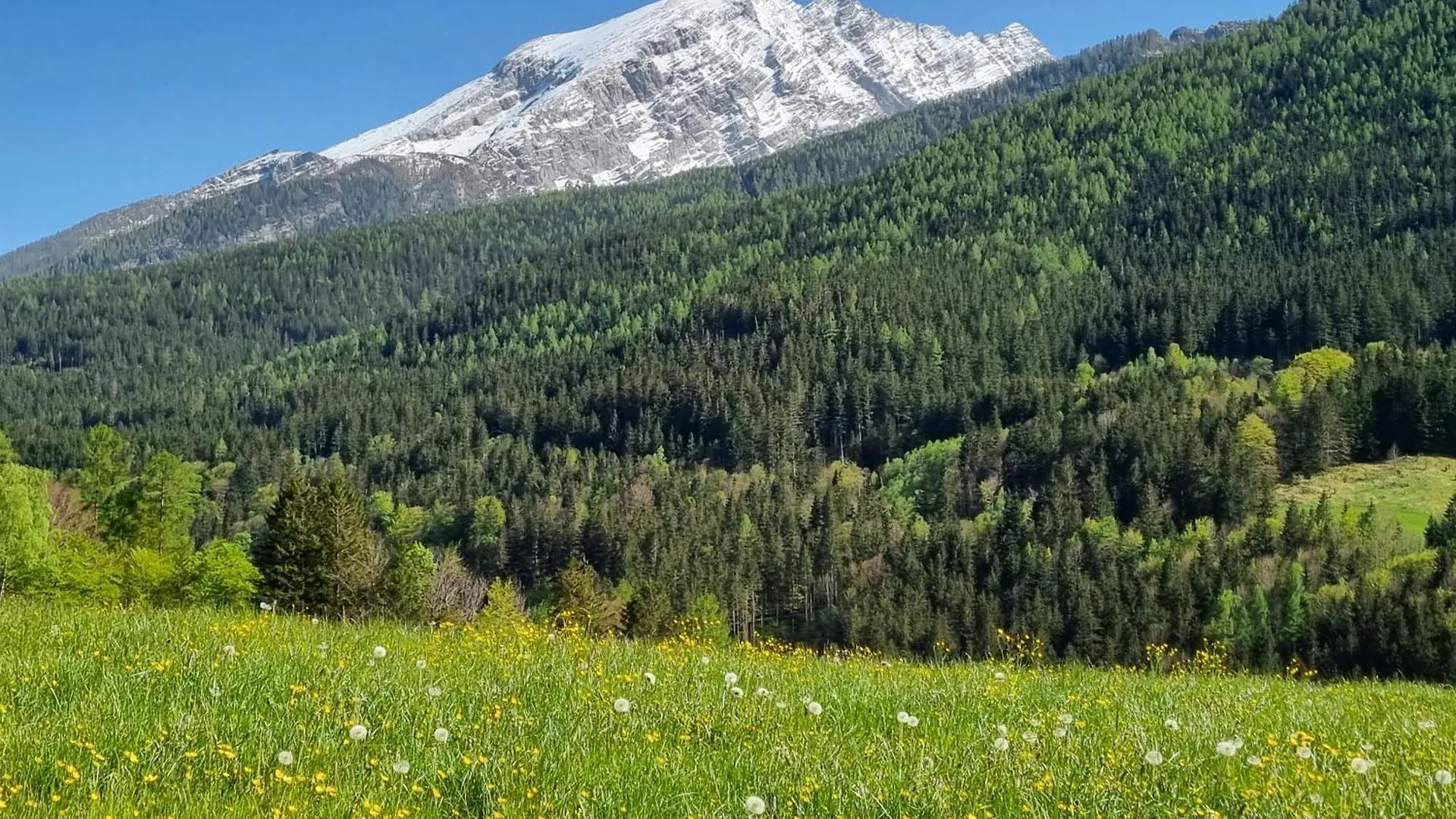 Apartment Scheffmannlehen Ferienwohnung Nr 3 Ramsau bei Berchtesgaden